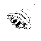 MAC335 CHAINSAW PRIMER KIT (530047213)